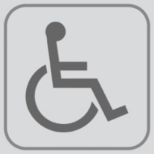 T701024 Plaque pictogramme PVC adhésif Toilettes pour Handicapé (multiple de 5)